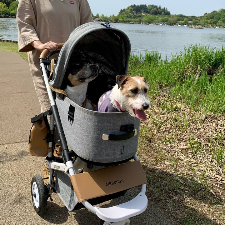 D6b7e80e f6f5 4890 a996 951e636c1c00 1620191949317