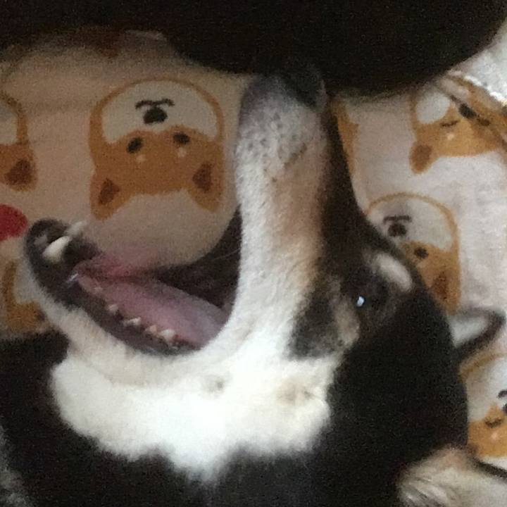 D6b8129d ab5f 4338 b554 5555dae4d0f9 1543010656481