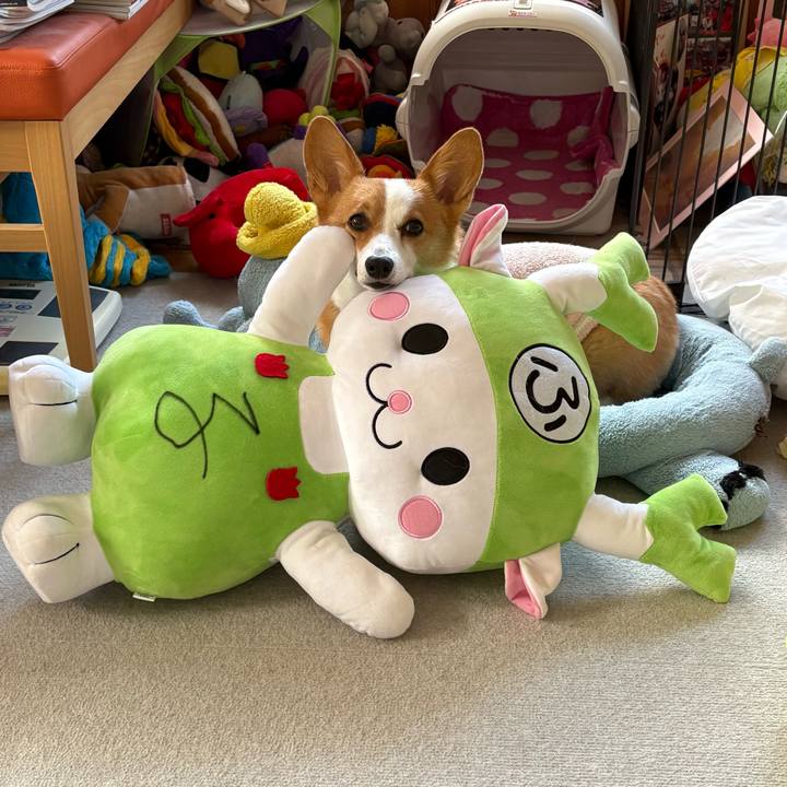 D6b81a29 a81a 45c5 b440 41bad4b00235 1767139963568