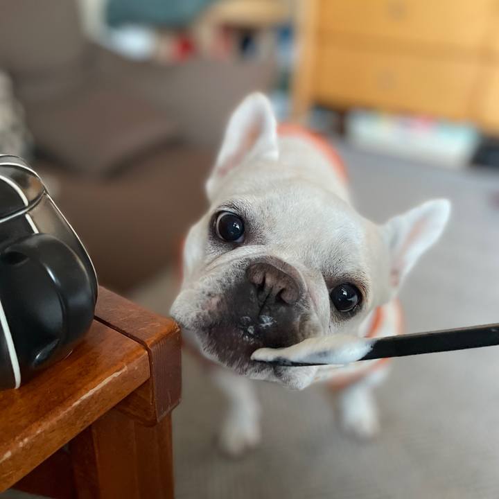 D6b82a27 9979 4bf4 834a a05401f32f6e 1732057360475