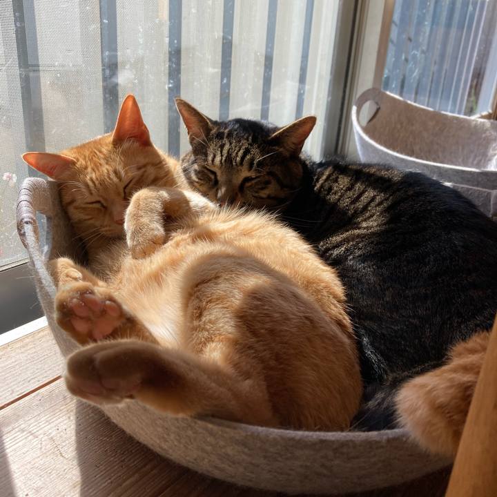 D6b84495 975c 4f55 8fb5 9c4f786bd8fd 1709440497686