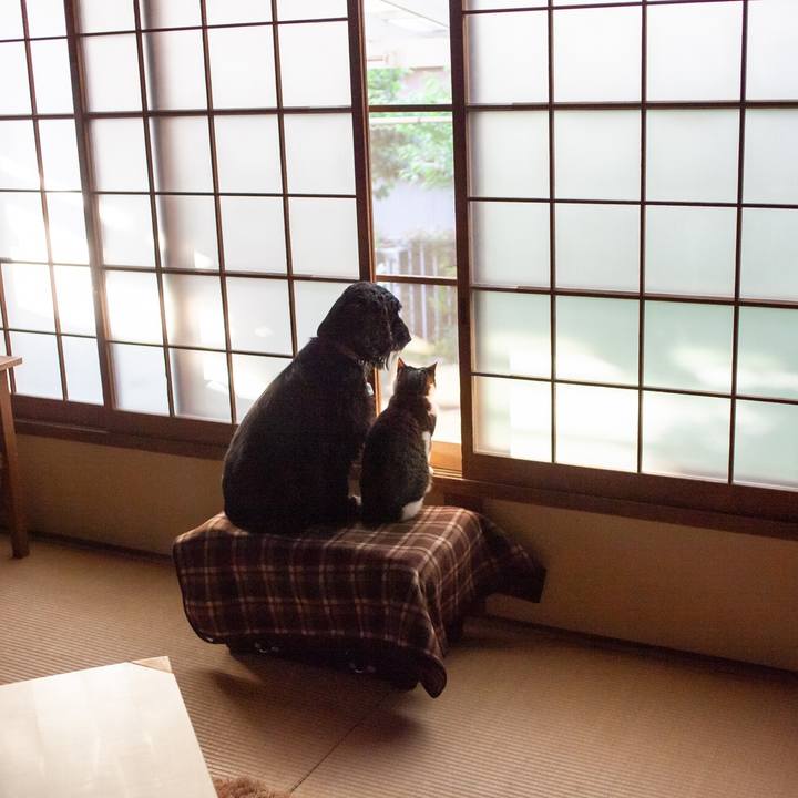 D6b87082 73d0 4ae6 9692 9df2f674030c 1589706939171