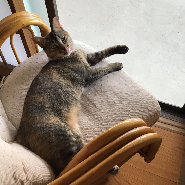 D6b874e2 4ef8 408c a300 56c349452c61 1597635569895