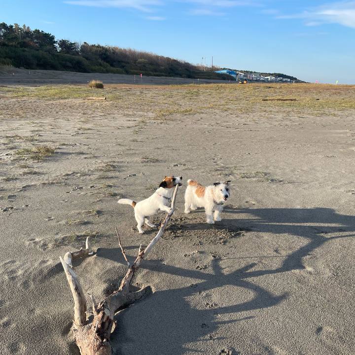 D6b87ab4 ea01 4a43 9d3d 6888b72a3eb2 1698106861340