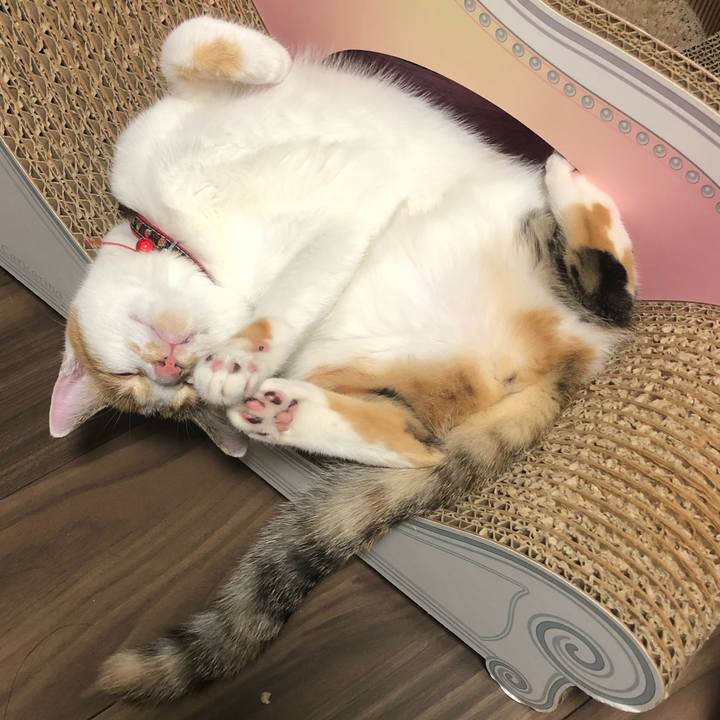 D6b881f6 199b 468e 82dd e8de9b55532a 1571056325486