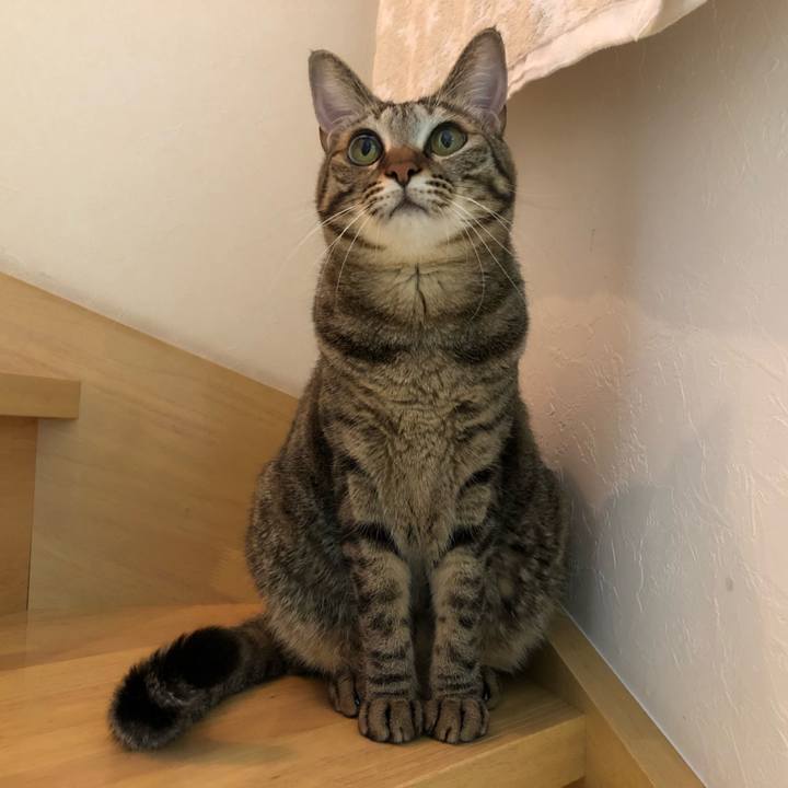 D6b891e1 cb88 4d72 abdd 9904e0986bf2 1540018307711