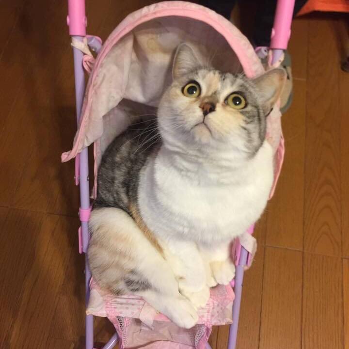 D6b8bdc0 a5d6 49ed 9541 440149ab5c56 1547133507286