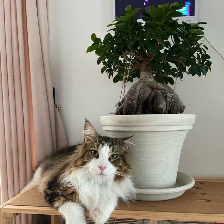 D6b9313b 5bfc 44e7 857f 4e4da114691a 1656452097607