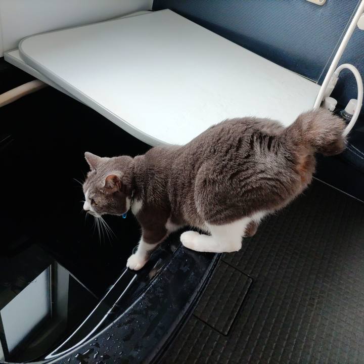 D6b9319e fdbe 458c 8f2b 90ceae1bc381 1717293351806