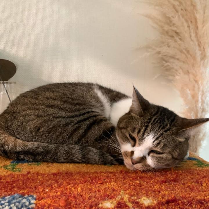 D6b94402 1222 4f61 b838 3684c44b1dab 1662428928030