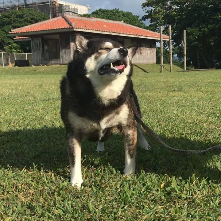 D6b94ae4 1b5c 4a00 923a ce7d77407f71 1636938935398