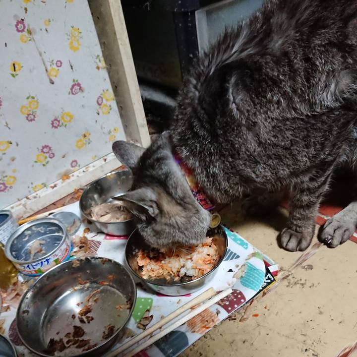 D6b980f5 7024 42e5 a991 0d82928aa155 1591644481794