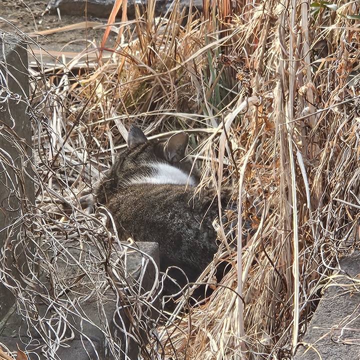 D6b9a256 9b89 41a2 a735 2fc4a306b31e 1740881098991