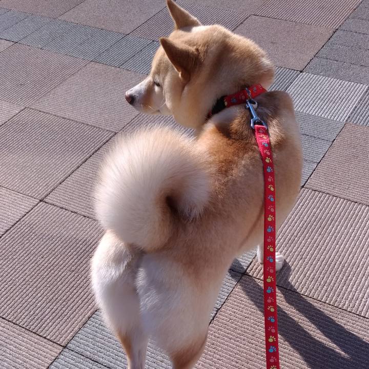 D6b9da8c f88e 436c 92c8 ba4ee6824e6a 1578895242073