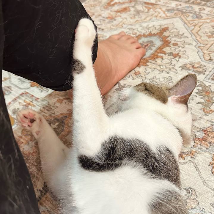 D6b9dd2d 072e 4b7c 80fc 219525763d10 1776863500754