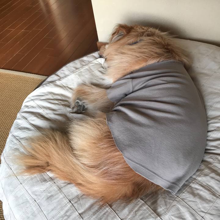 D6b9e059 a769 45e1 a958 07a81033eb7b 1646086528710