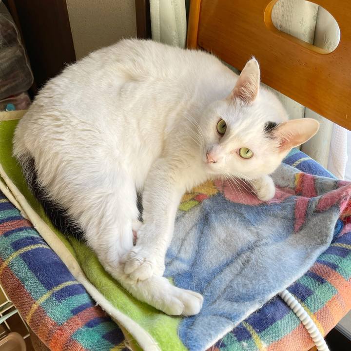 D6b9ebab e1a0 40c5 ab1c 5b1df900168c 1766893988011