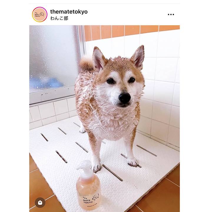 D6ba294e 030a 4cd2 860b 3c19d72f58d5 1677103063944