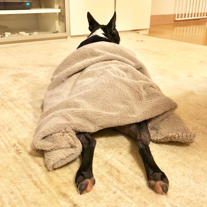 D6ba79f7 b177 4330 9eb5 a7a6244f67c6 1517135073720