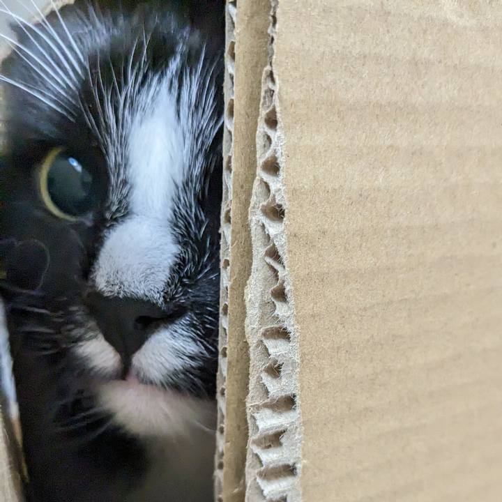 D6ba8818 c56b 4c53 93d2 71603b474141 1711970860722