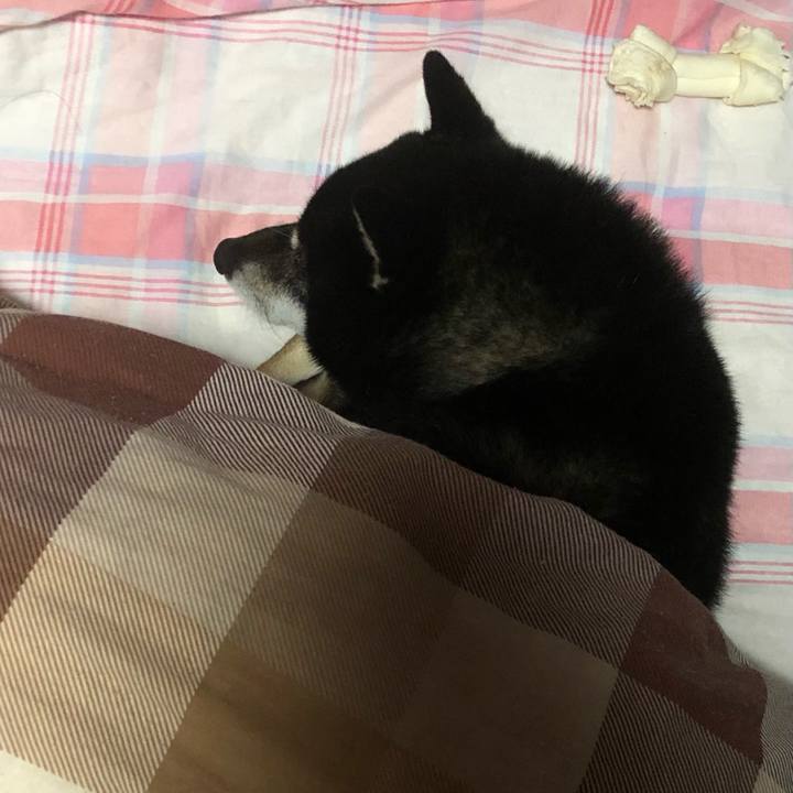 D6ba8d73 914f 49c3 8bf2 70db64828872 1604662768948