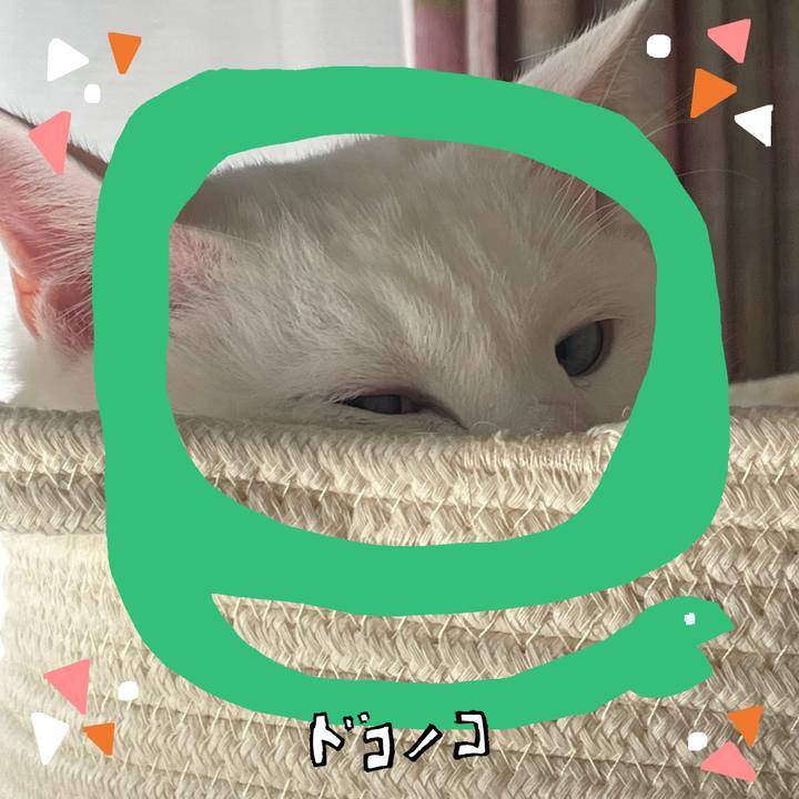 D6ba9b9a 90e6 4f92 bc7f 9a1562317df2 1741592391586