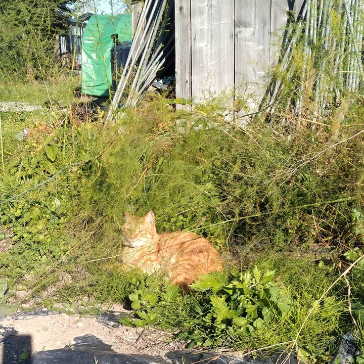 D6bab340 c1ba 4c07 8d00 52af116dfd65 1666331583406