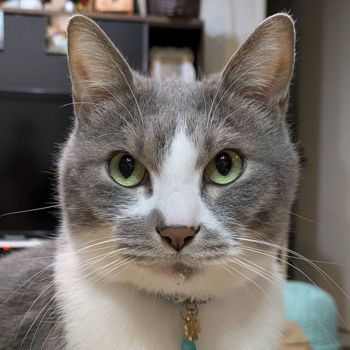 D6bad1a5 f07e 4e0b bfe0 11bd1227f2f0 1740975888423