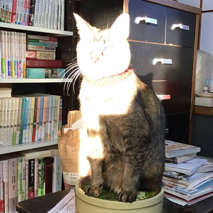 D6bae02c 5c5d 4765 b1c1 8ca20e470254 1639210421468