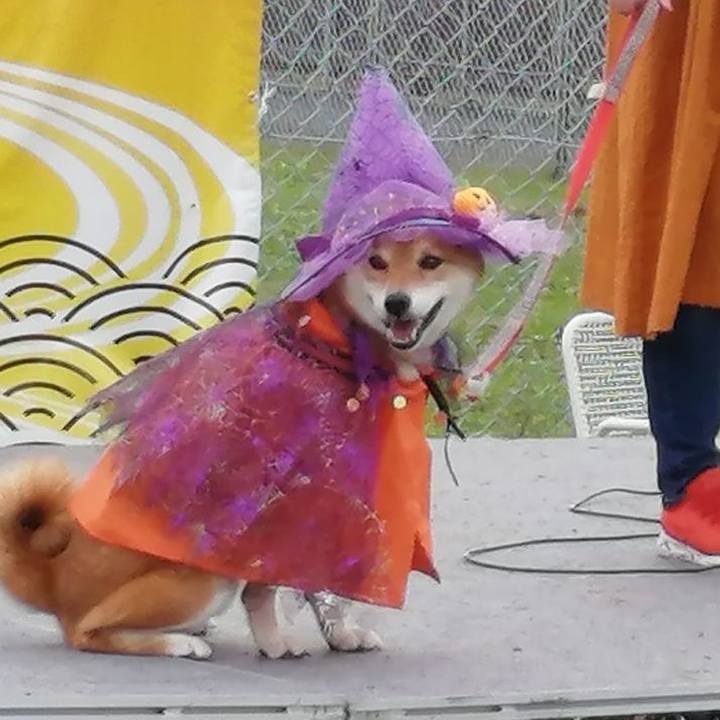 D6bb5231 547f 47cc a8dc 1fde2a3dc1ea 1602428126344