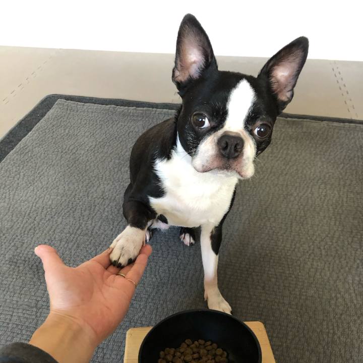 D6bb74fa 6c1f 4b1e b385 52f22ced96f3 1613022233559