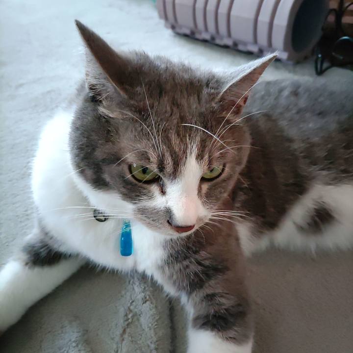 D6bb838b 074b 4233 9e08 a8ed63ac8b1b 1687671806290