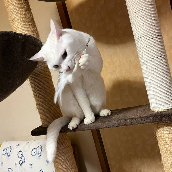 D6bb83f3 ea87 4a15 b735 edca43525d7d 1670151716310