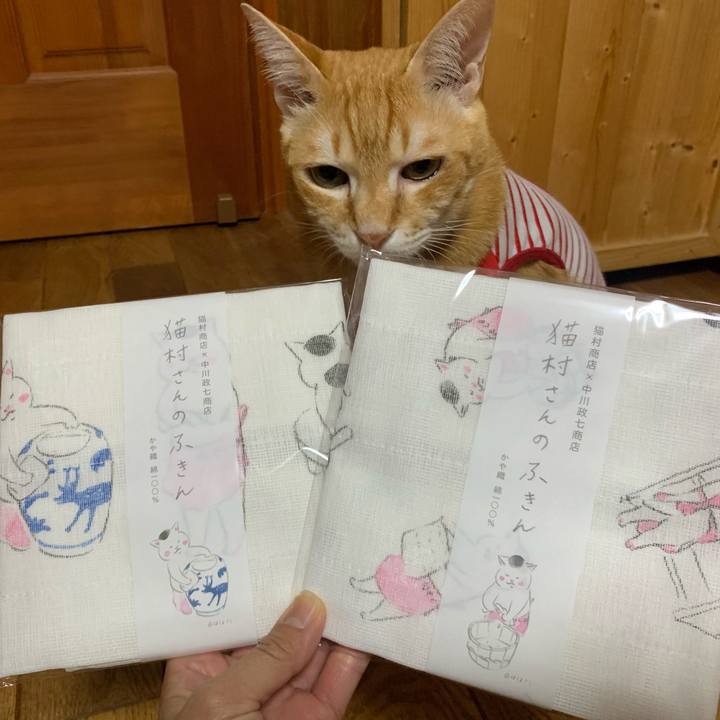 D6bbf3e6 e164 43ed afd4 1fb3c6c6996c 1591439474340