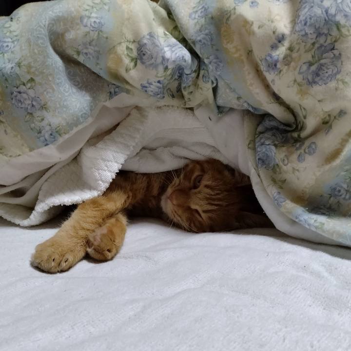 D6bbf654 7fe9 4582 b05e cc78766748cd 1671960821340