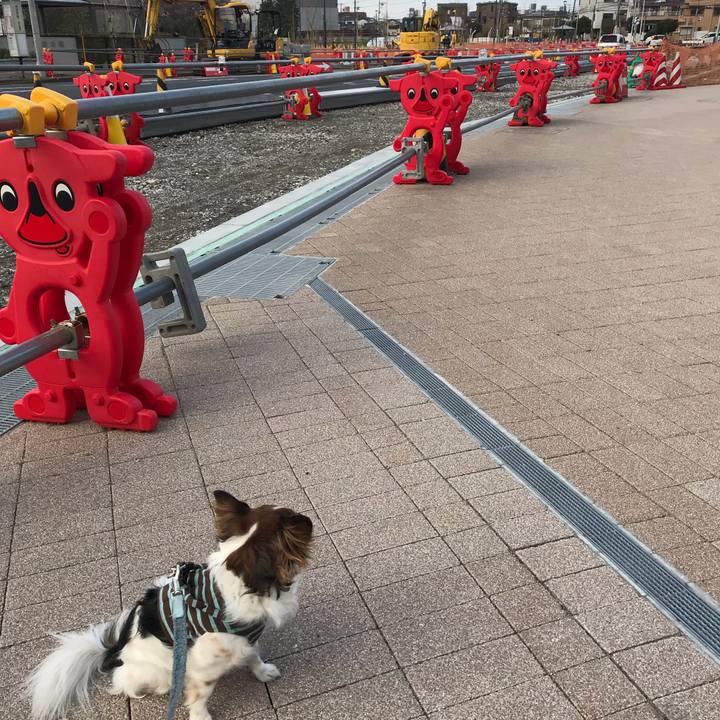 D6bc1954 bb9f 45d0 82a6 9f21e1f47a08 1554022228884