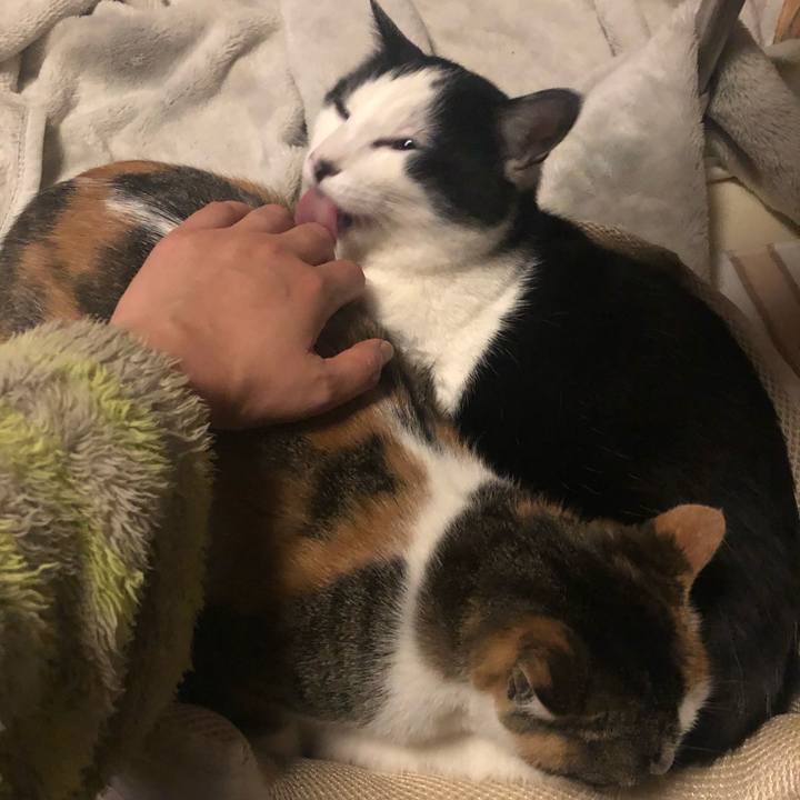 D6bc5563 6513 42b5 9638 f0ea0bcda623 1578589654053