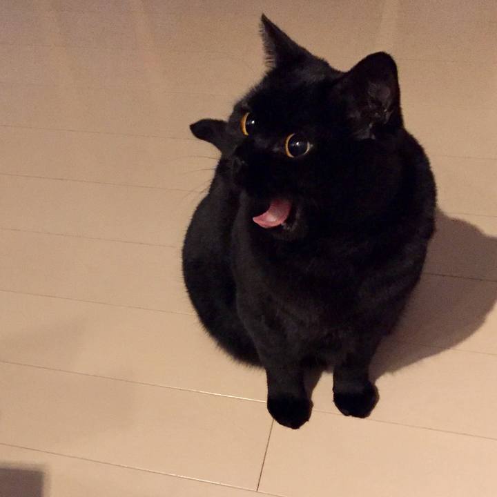 D6bc7356 8cae 430f 96da 6b97b9a2d0a1 1582199990880