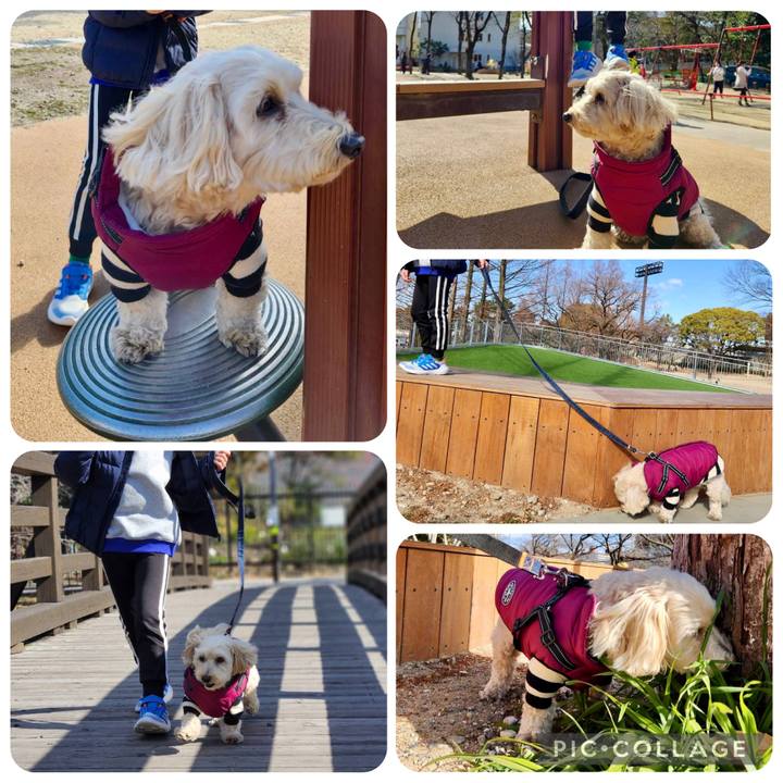 D6bcaa5f ab59 4212 9700 484dc9cbc5a6 1769920815205