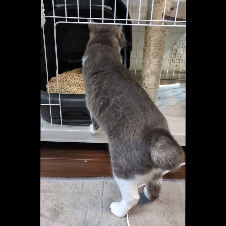 D6bcb175 b079 40e2 be89 fc28be750468 1754375864729