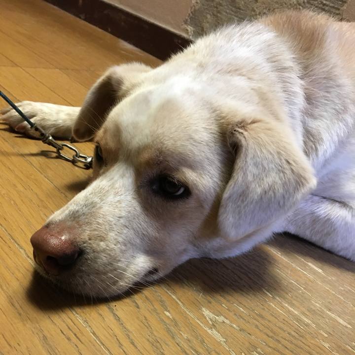 D6bcc42a 3d11 4b23 88e6 19b2d0b78d71 1515107330297