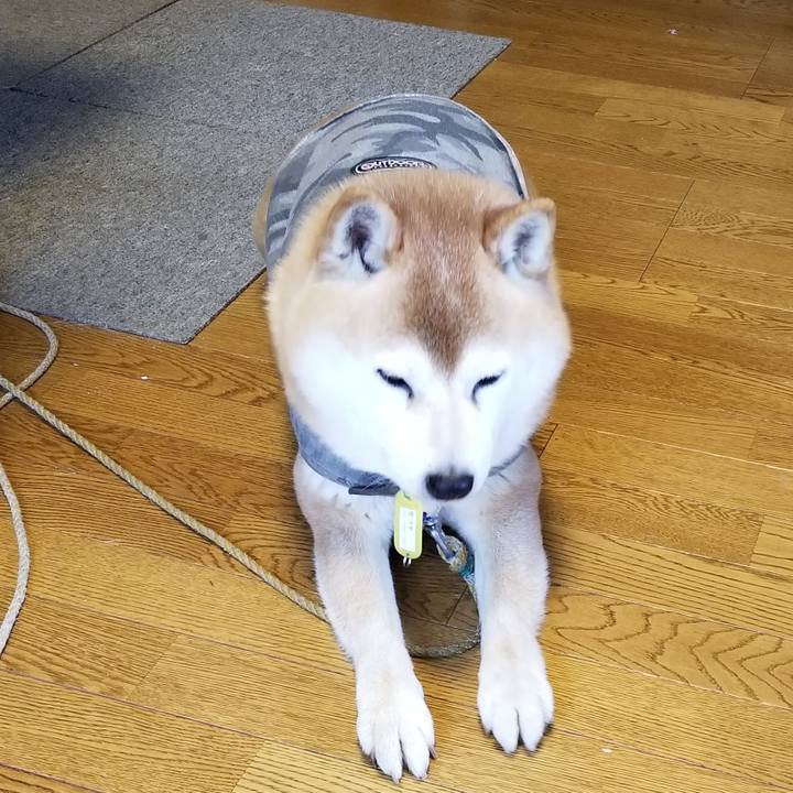 D6bcf783 b0e4 42d4 a36b c9a483d44f98 1648690800363