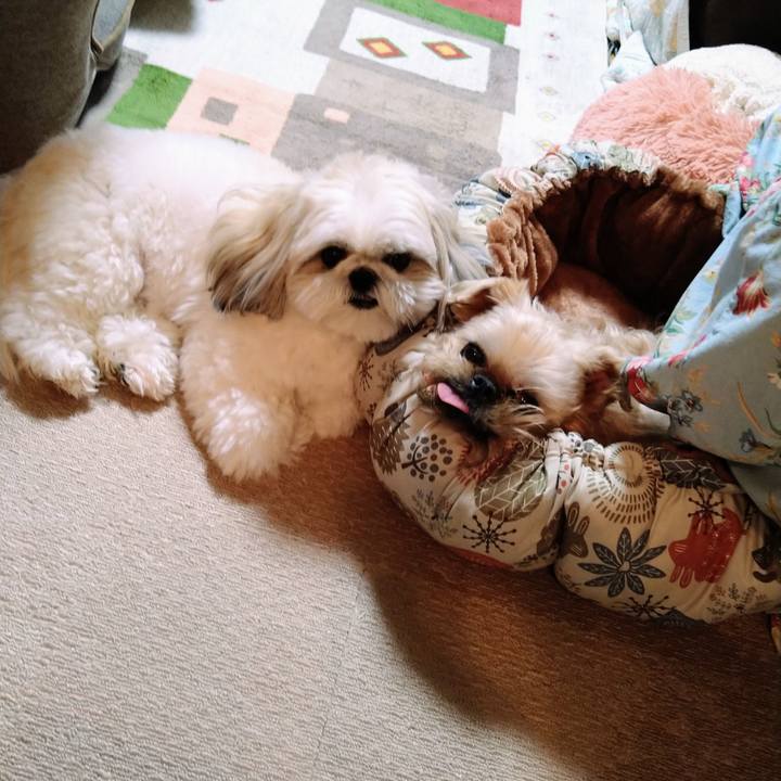 D6bd5de5 72e8 4fe1 bfba fdd034a336c1 1649163485654