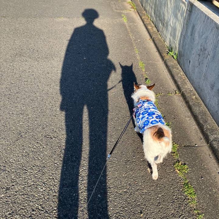 D6bd5eb9 9a2b 4bf7 bde5 3b7904007689 1747265053944