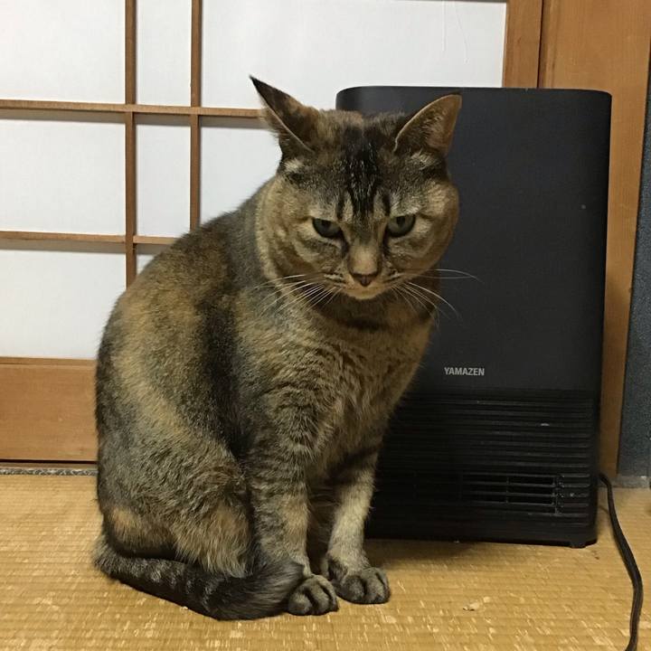 D6bd7823 0053 4e26 853e f22209a4f1e7 1742300097823