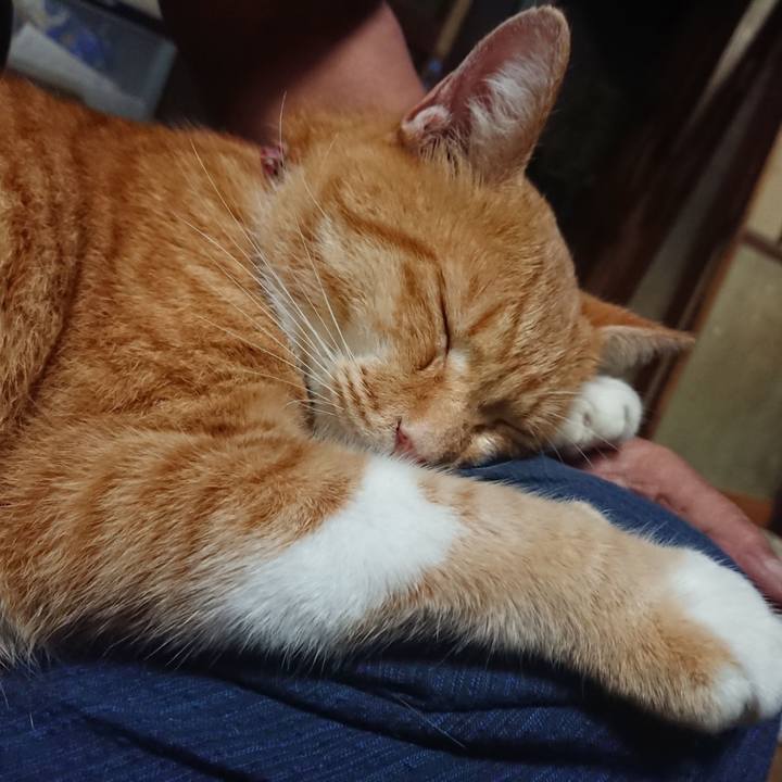 D6bda946 9e2a 4188 b50e 14dc7c6b22b3 1599996537796