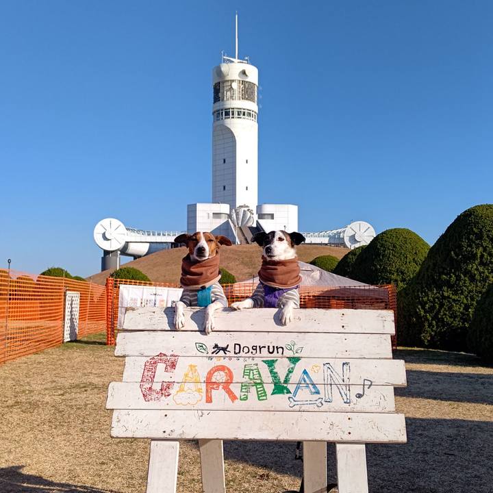 D6bdb044 90e0 4dad 9c5c 85bf0938431f 1673245921346