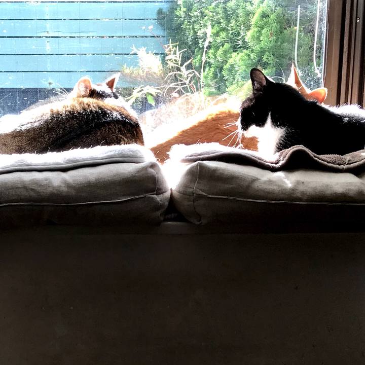 D6bdc527 9fc5 485e 909d 766a53ccf460 1512792187579