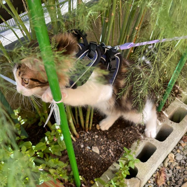 D6bdeb36 36ca 4fd5 9c7b e189cf47a35d 1633229160501