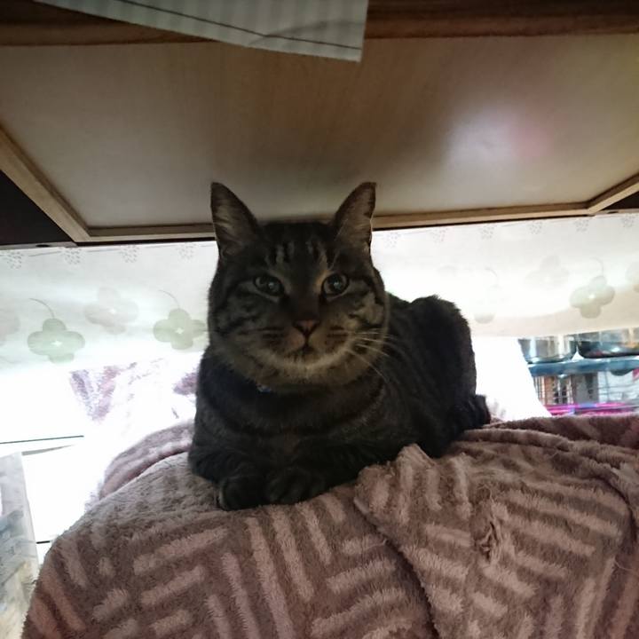 D6bdec26 bf6a 49ff aed8 0884de045691 1640684718778